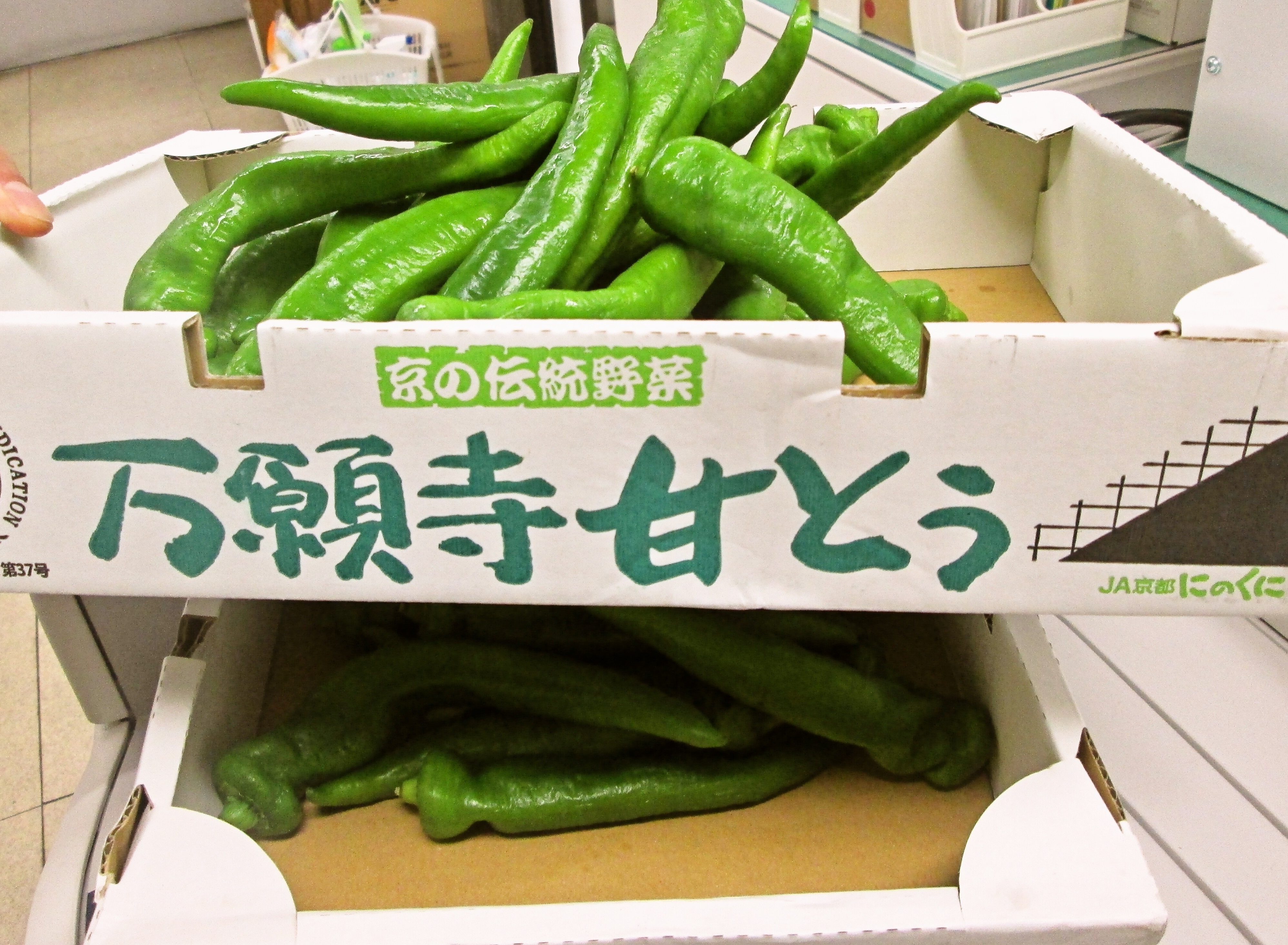 京都の伝統野菜、万願寺甘とうが入荷しました！