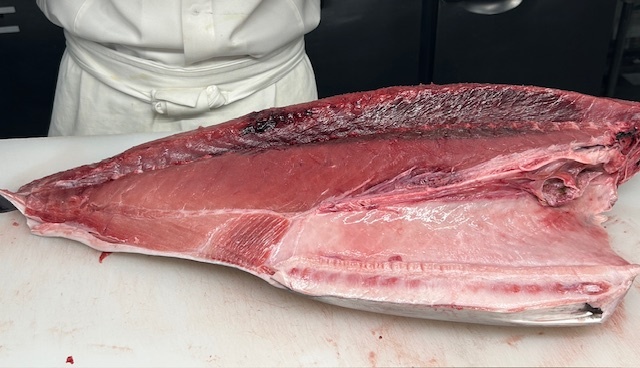 本マグロが入荷しました！