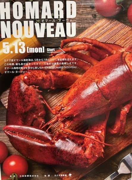 Homard Nouveau（オマール・ヌーヴォー）2024