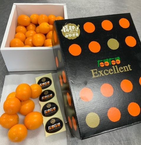究極の完熟金柑「たまたまExcellent」
